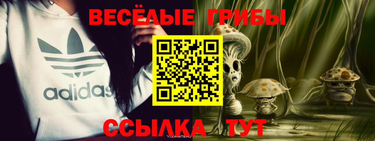 Киселёвск  Галлюциногенные грибы мицелий  Вход с VPN 